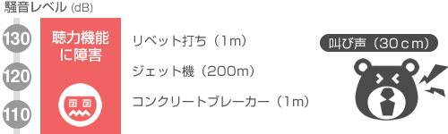 110~130デシベル 聴力機能に障害 リベット打ち(1m) ジェット機(200m) コンクリートブレーカー(1m) 叫び声(30cm)